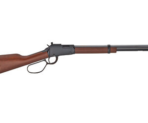 Henry Repeating Arms, Small Game Rifle, Lever Action Rifle, 22 S/L/LR, 20" Barrel, Octagon Barrel, Black, Walnut Stock, Skinner Sights, 16 Rounds