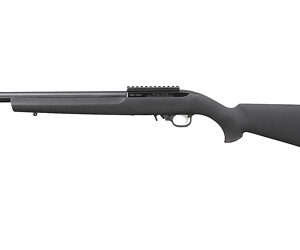 Ruger, 10/22, 22 LR, Heavy Barrel, Hogue Tactical Stock