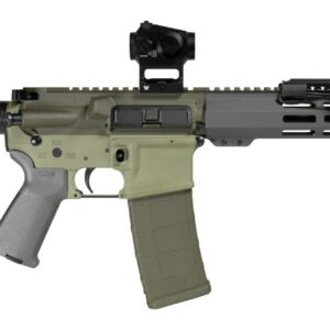 Shark Coast Tactical SCC06872BUGBR300P Bug Bear Bundle 300 Blackout 30+1 10" Threaded Barrel, Aluminum Receiver w/Picatinny Rail, M-LOK Handguard, Polymer SB Tactical SBA3 Brace, Streamlight ProTac Rail Light 2, Vortex Crossfire Red Dot, Magpul MOE Grip